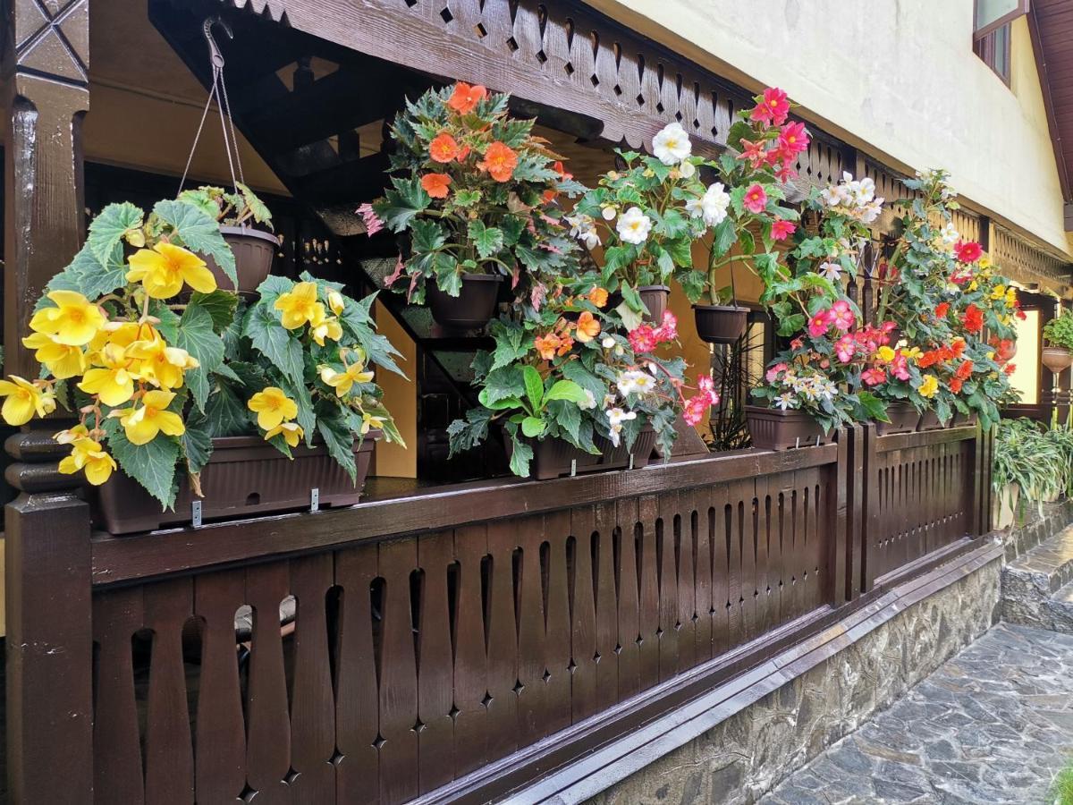 Shelby Accommodation -Adult Only- Sinaia Buitenkant foto