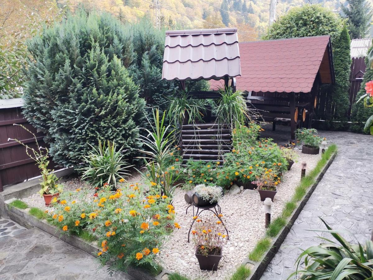 Shelby Accommodation -Adult Only- Sinaia Buitenkant foto